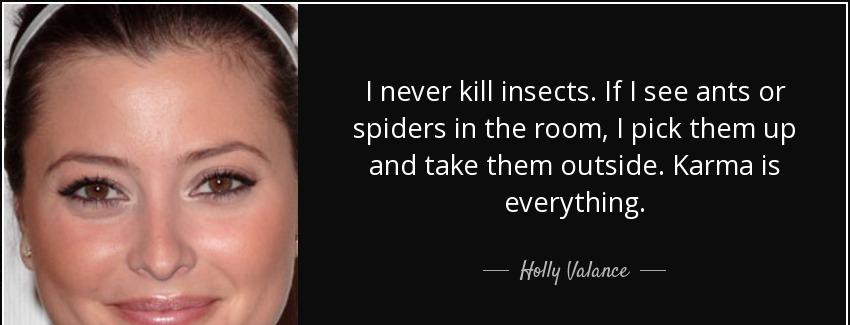 quote i never kill insects if i see ants or spiders in the room i pick them up and take them holly valance Quotes