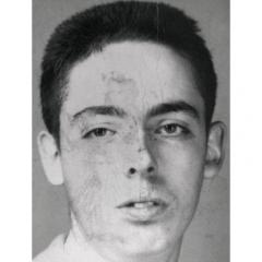 Thomas Pynchon quotes