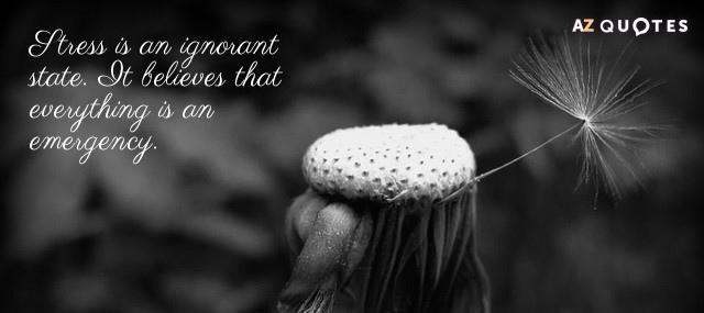 Quotation Natalie Goldberg Stress is an ignorant state It believes that everything is Quotes