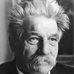 Albert Schweitzer quotes