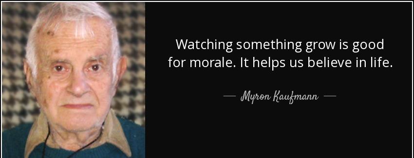 quote watching something grow is good for morale it helps us believe in life myron kaufmann Quotes