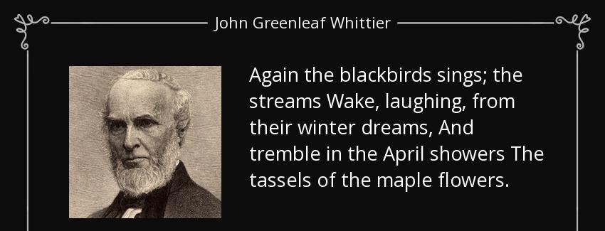 quote again the blackbirds sings the streams wake laughing from their winter dreams and tremble john greenleaf whittier Quotes
