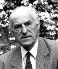 Meredith Belbin quotes