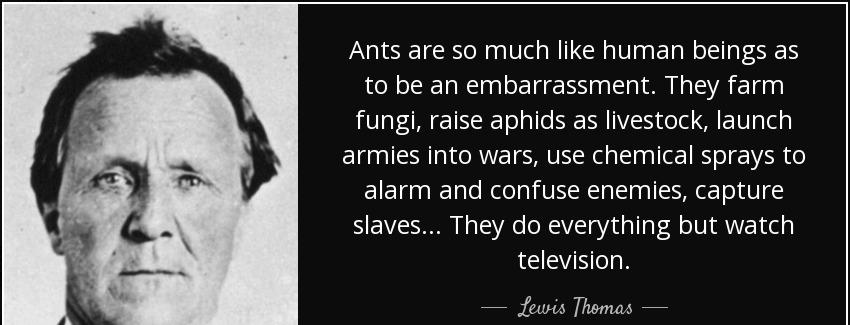 quote ants are so much like human beings as to be an embarrassment they farm fungi raise aphids lewis thomas Quotes