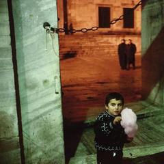 Alex Webb quotes