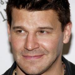 David Boreanaz quotes