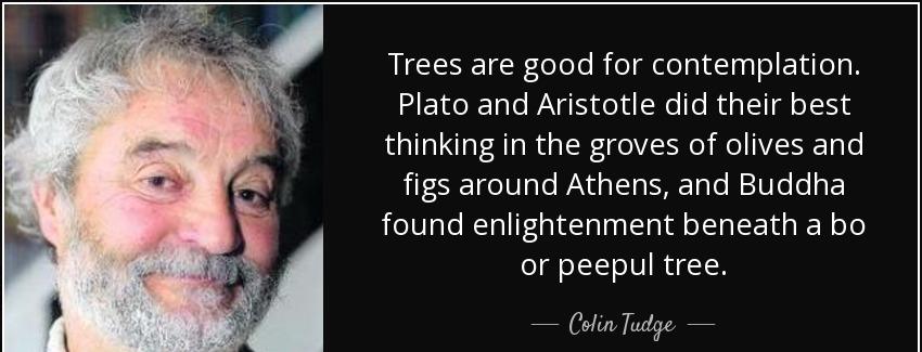quote trees are good for contemplation plato and aristotle did their best thinking in the colin tudge Quotes
