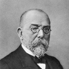 Robert Koch quotes