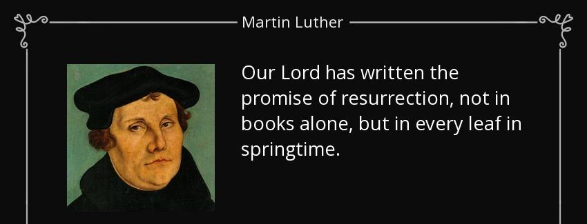 quote our lord has written the promise of resurrection not in books alone but in every leaf martin luther Quotes