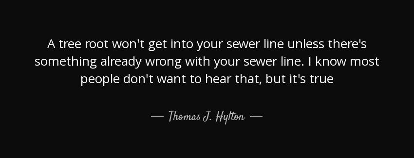 quote a tree root won t get into your sewer line unless there s something already wrong with thomas j hylton Quotes