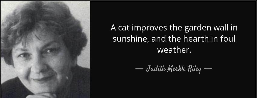 quote a cat improves the garden wall in sunshine and the hearth in foul weather judith merkle riley Quotes