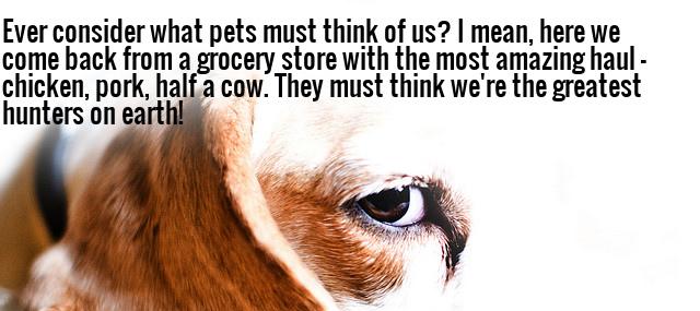 Quotation Anne Tyler Ever consider what pets must think of us I mean Quotes