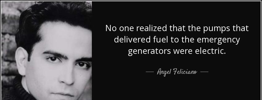quote no one realized that the pumps that delivered fuel to the emergency generators were angel feliciano Quotes