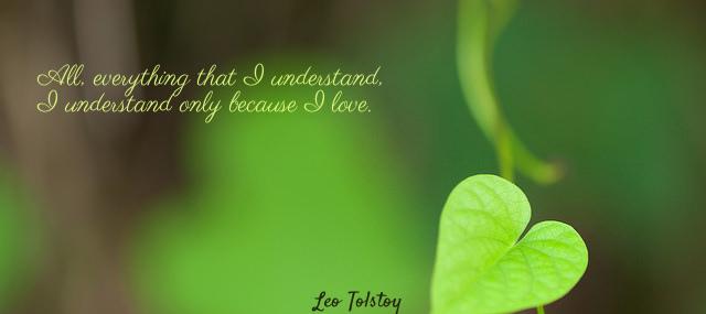 Quotation Leo Tolstoy All everything that I understand I understand only because I Quotes
