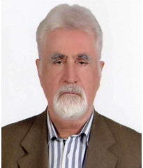 Hossein Malek-Afzali quotes