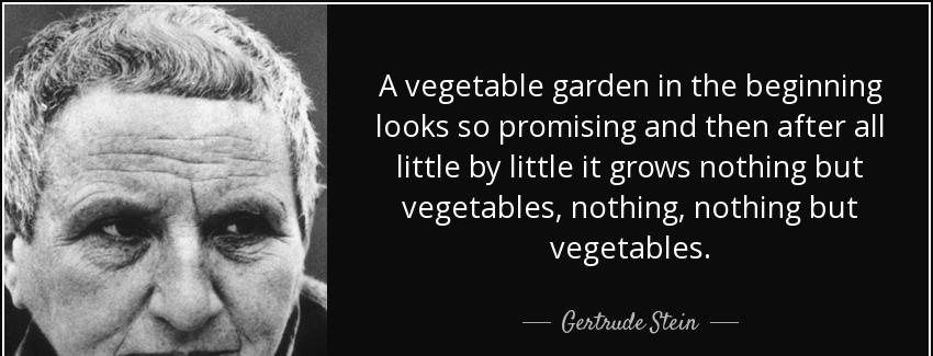 quote a vegetable garden in the beginning looks so promising and then after all little by gertrude stein Quotes