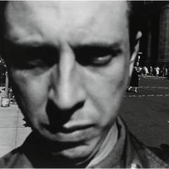 Lee Friedlander quotes