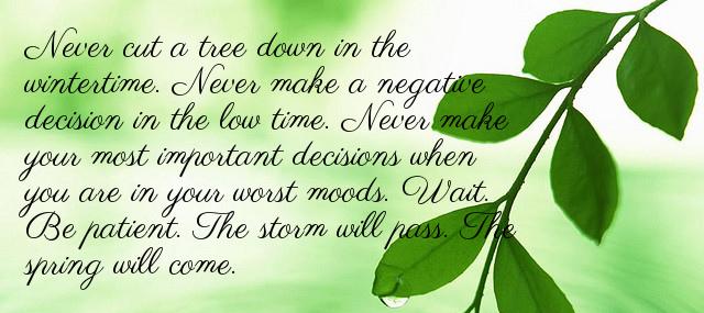 Quotation Robert H Schuller Never cut a tree down in the wintertime Never make Quotes