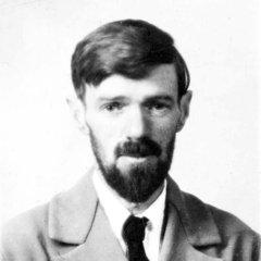 D. H. Lawrence quotes