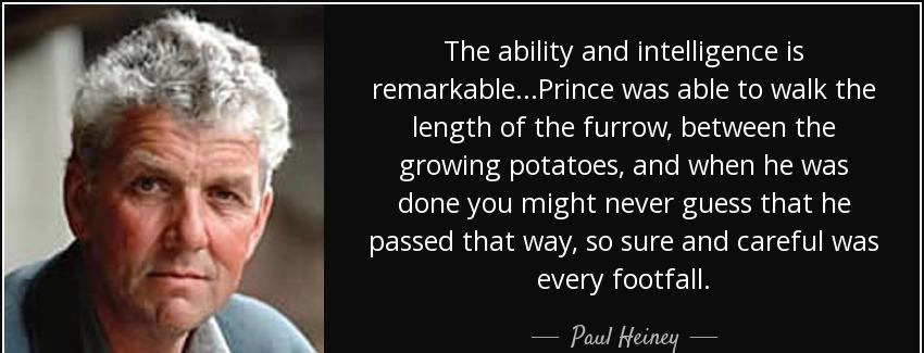 quote the ability and intelligence is remarkable prince was able to walk the length of the paul heiney Quotes