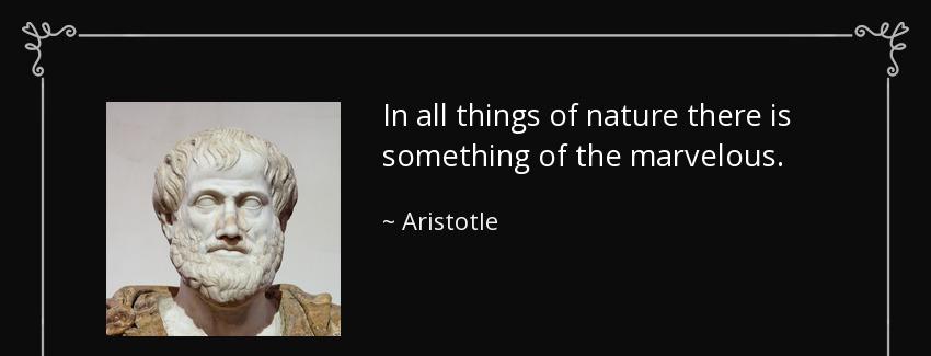 quote in all things of nature there is something of the marvelous aristotle Quotes