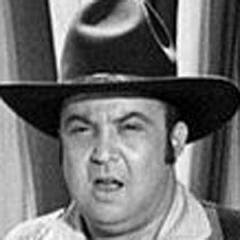 Allan Sherman quotes