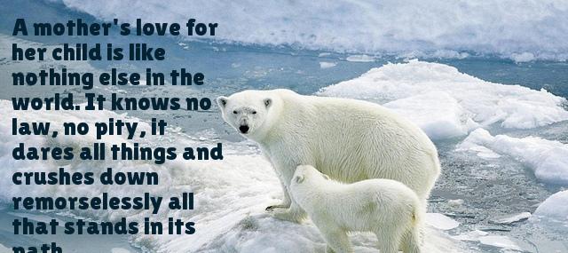 Quotation Agatha Christie A mother s love for her child is like nothing Quotes