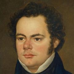 Franz Schubert quotes