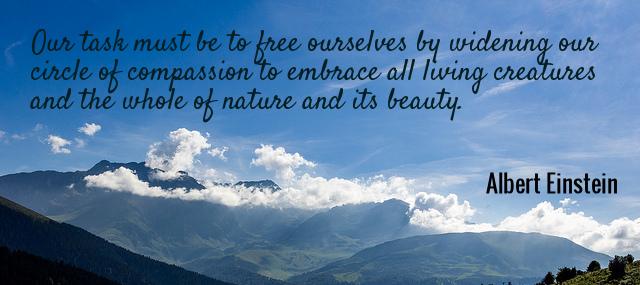 Quotation Albert Einstein Our task must be to free ourselves by widening our Quotes