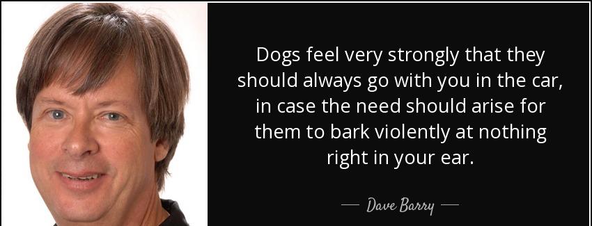 quote dogs feel very strongly that they should always go with you in the car in case the need dave barry Quotes