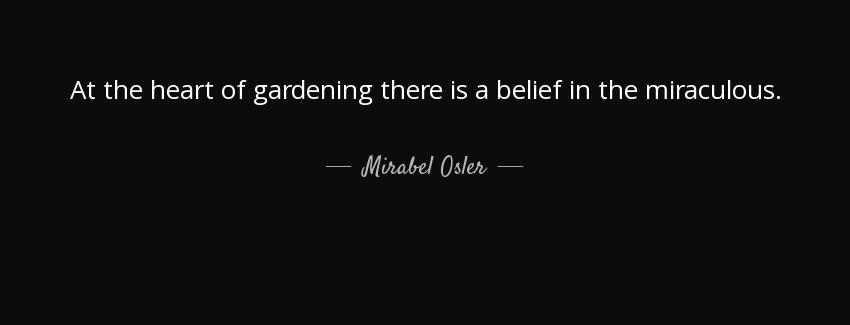 quote at the heart of gardening there is a belief in the miraculous mirabel osler Quotes