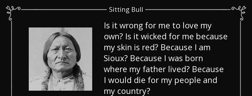 quote is it wrong for me to love my own is it wicked for me because my skin is red because sitting bull Quotes