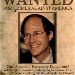 Cass Sunstein quotes