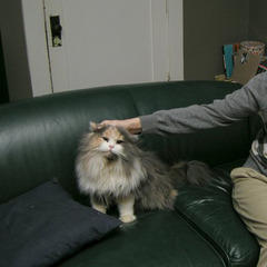 John Congleton quotes