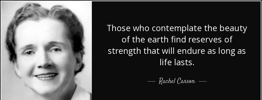 quote those who contemplate the beauty of the earth find reserves of strength that will endure rachel carson Quotes
