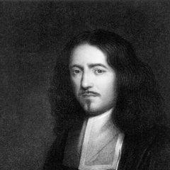 Marcello Malpighi quotes