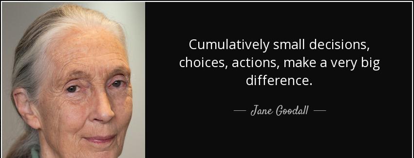 quote cumulatively small decisions choices actions make a very big difference jane goodall Quotes