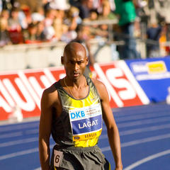 Bernard Lagat quotes