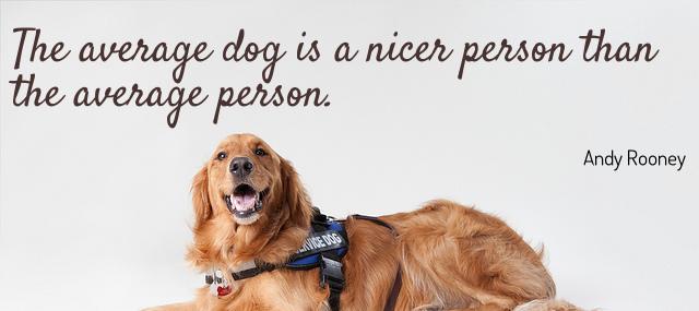 Quotation Andy Rooney The average dog is a nicer person than the average Quotes