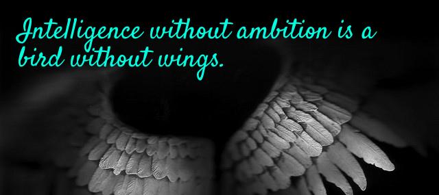 Quotation Salvador Dali Intelligence without ambition is a bird without wings Quotes