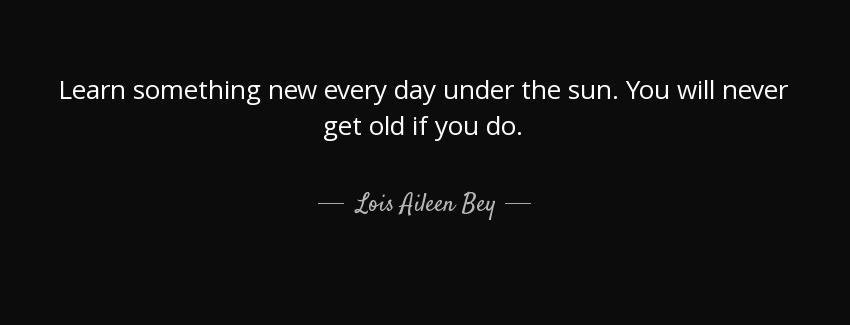 quote learn something new every day under the sun you will never get old if you do lois aileen bey Quotes
