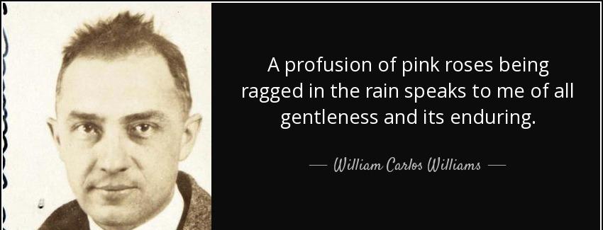 quote a profusion of pink roses being ragged in the rain speaks to me of all gentleness and william carlos williams Quotes