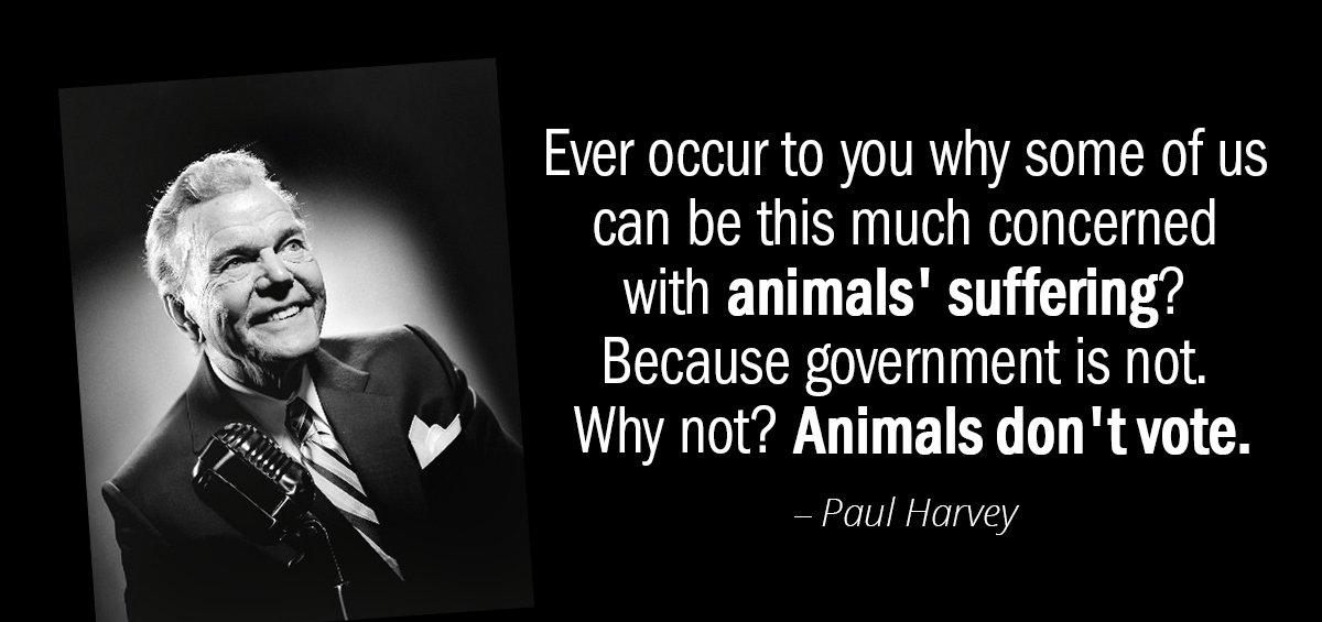 Quotation Paul Harvey Ever occur to you why some of us can be Quotes
