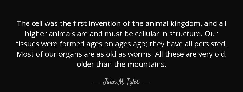 quote the cell was the first invention of the animal kingdom and all higher animals are and john m tyler Quotes