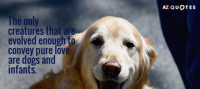 Quotation Johnny Depp The only creatures that are evolved enough to convey pure Quotes