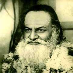 Brahmananda Saraswati quotes