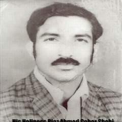 Riaz Ahmed Gohar Shahi quotes