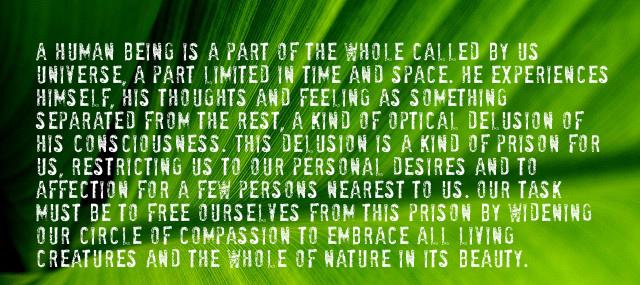 Quotation Albert Einstein A human being is a part of the whole called Quotes