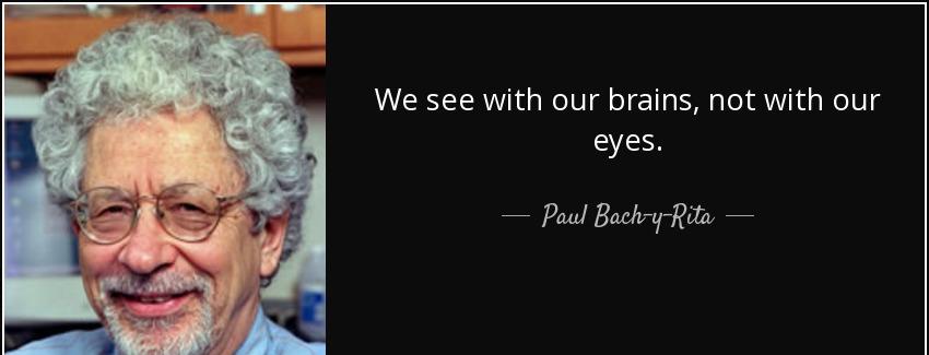 quote we see with our brains not with our eyes paul bach y rita Quotes