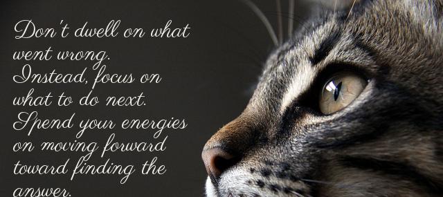 Quotation Denis Waitley Don t dwell on what went wrong Instead focus on Quotes